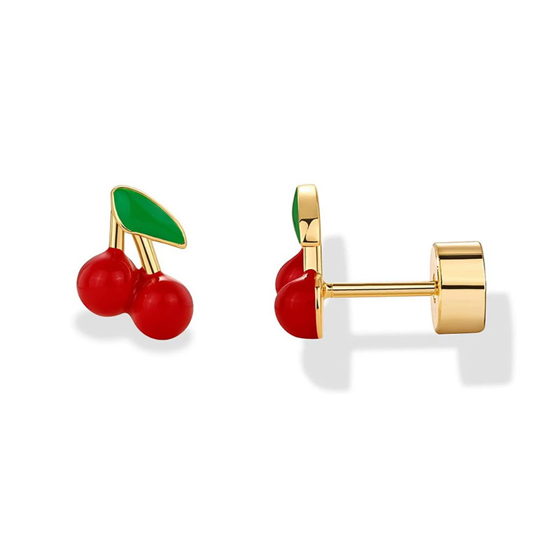2 قطعة أقراط الغضروف مسمار للن - مراجعة Body Jewelry Surgical Steel وسعره
